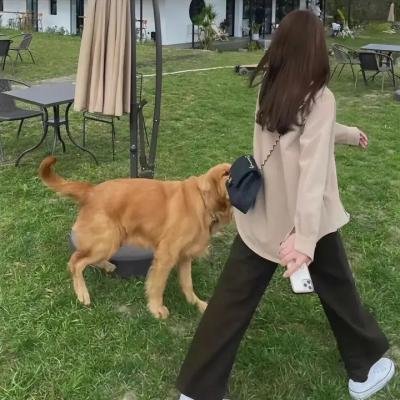 马斯顿教授和神奇女侠